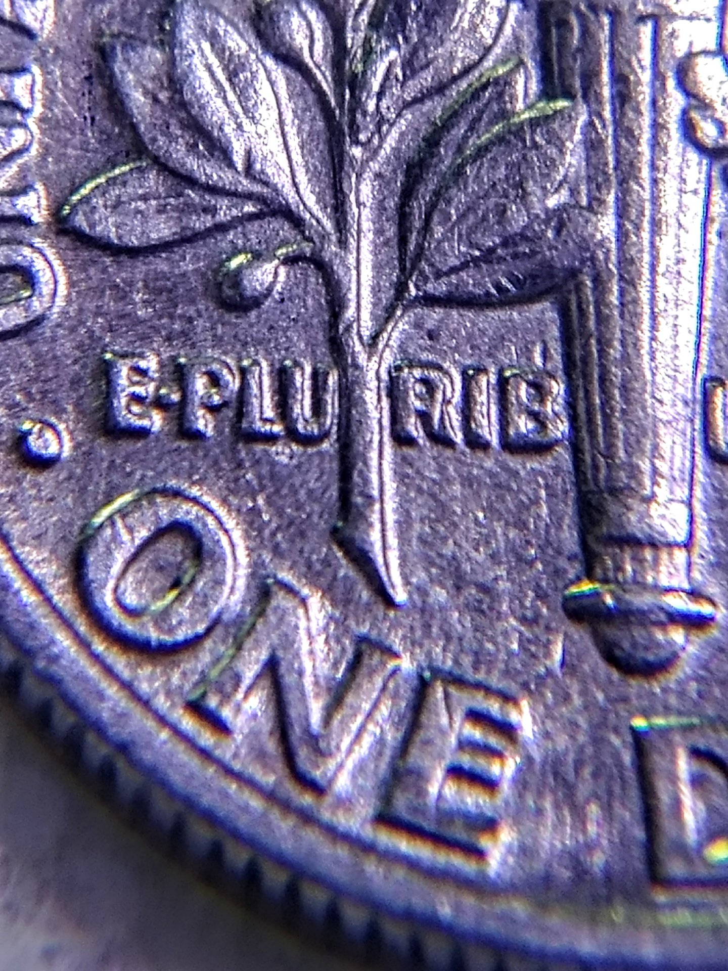 0805171109b_HDR.jpg