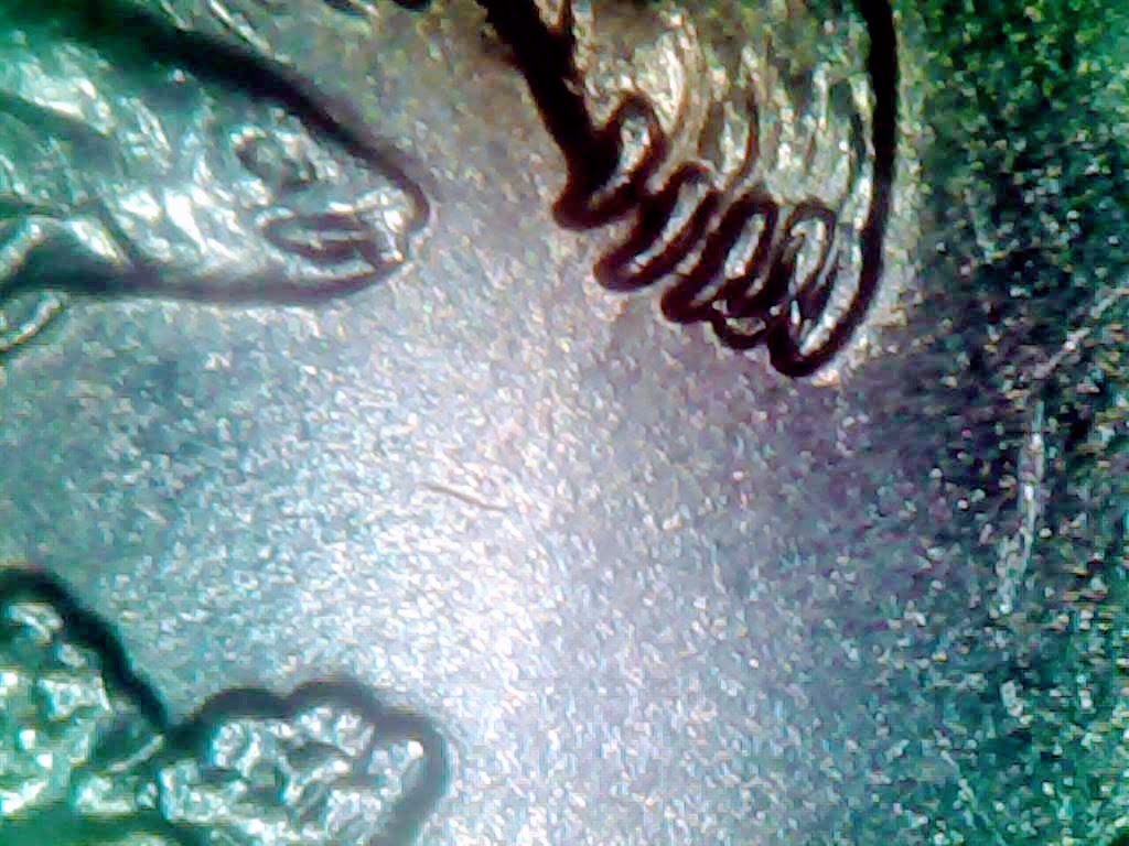 0805_1.jpg