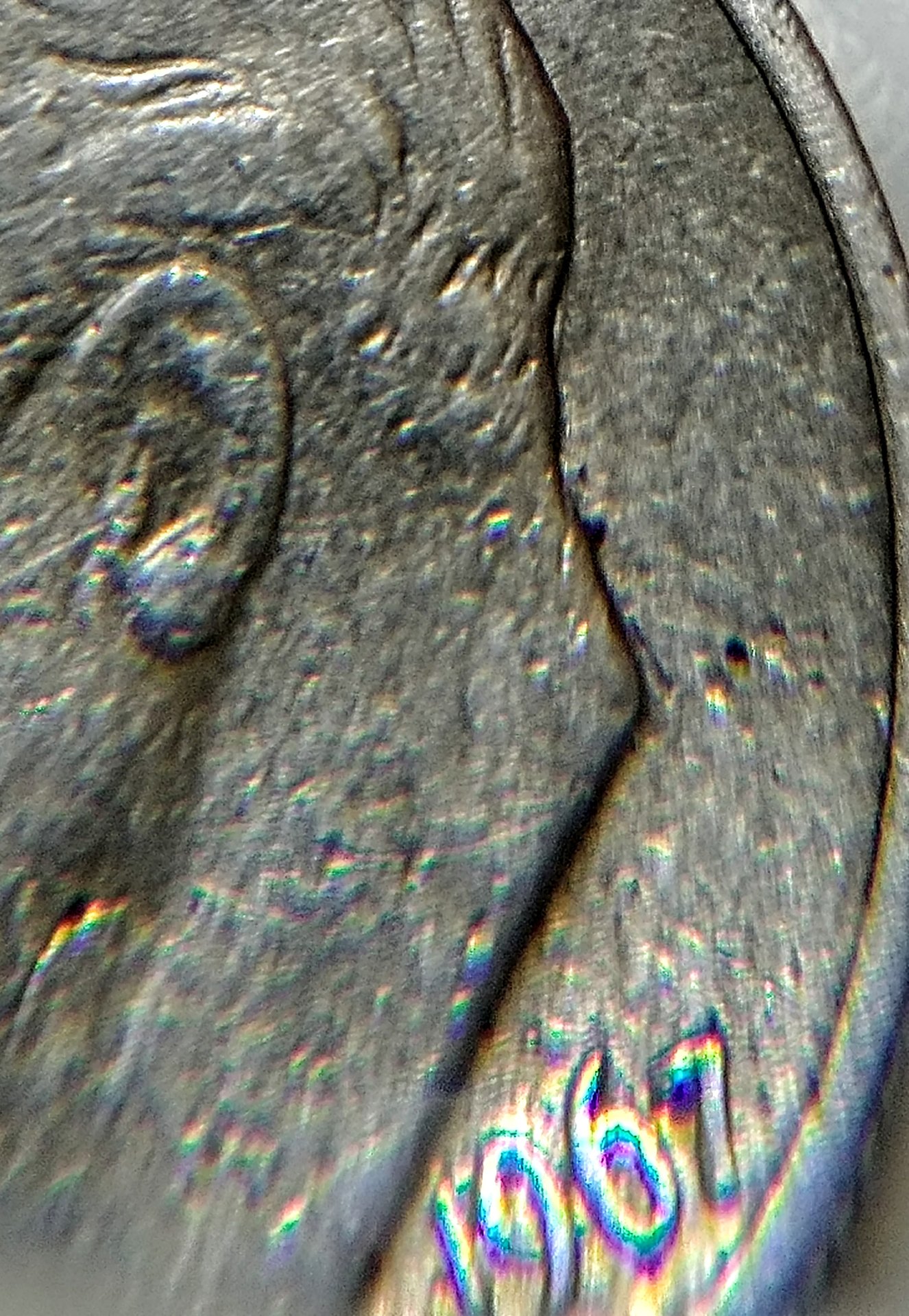 0806172337g_HDR.jpg