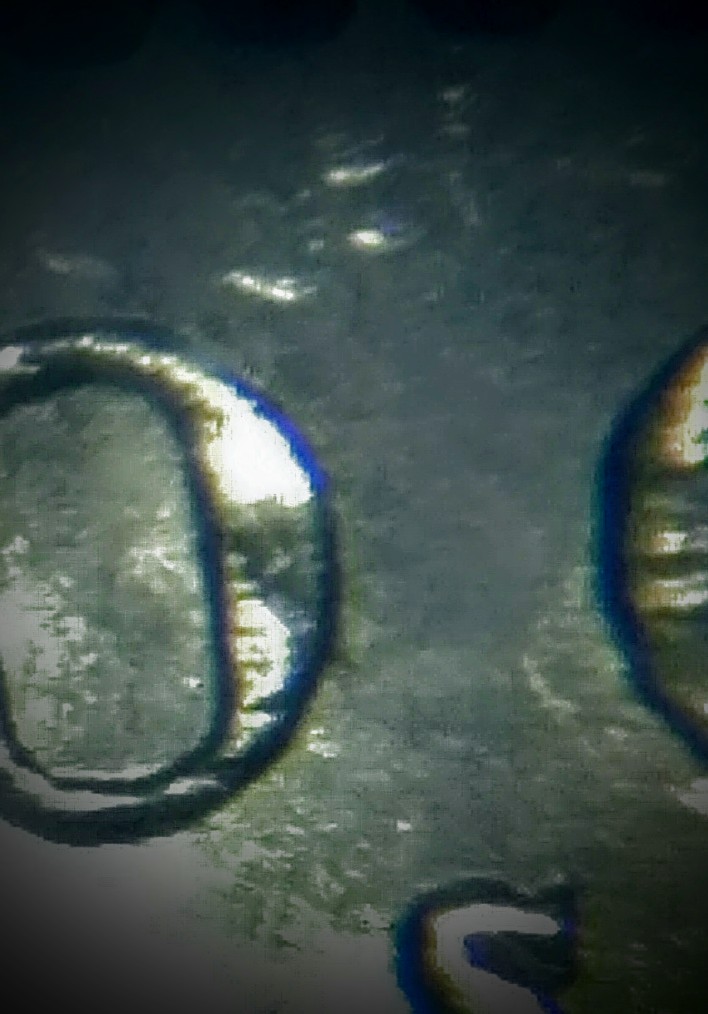 0810182254~2.jpg