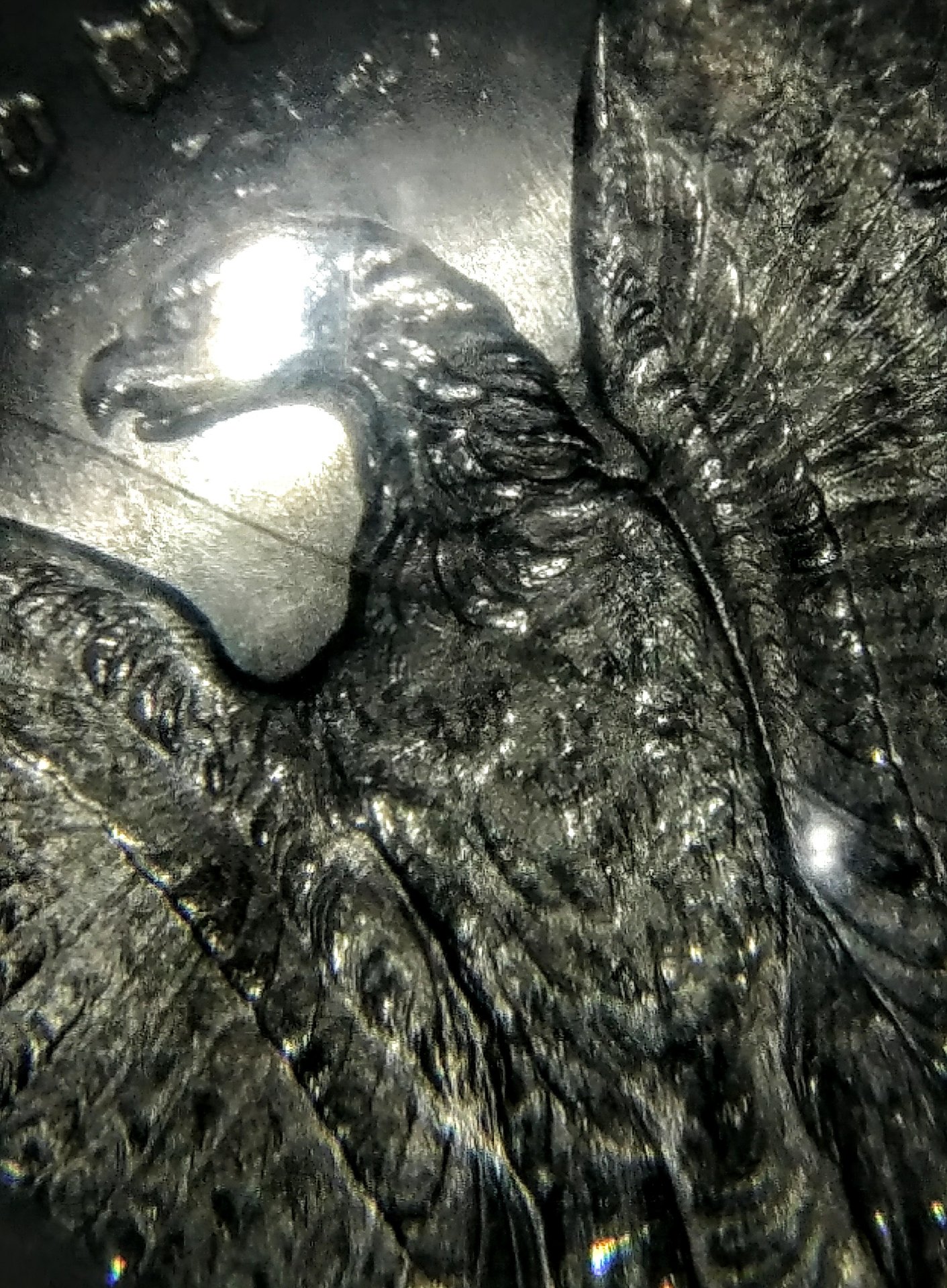 0810182257~2.jpg