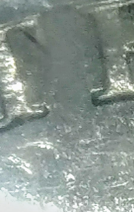 0810182257c~2.jpg