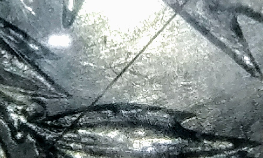 0810182258e~2.jpg