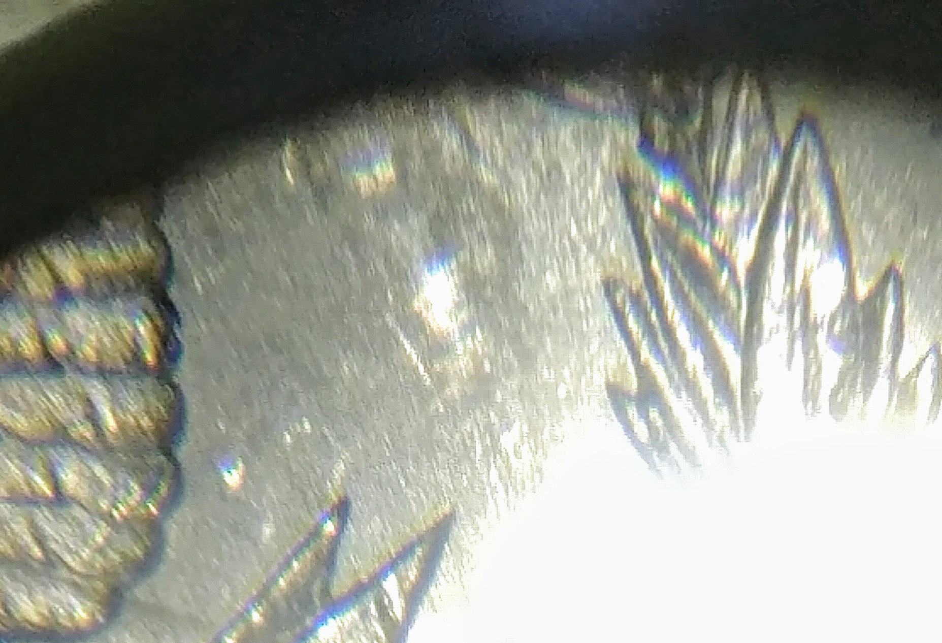 0810182259c~2.jpg