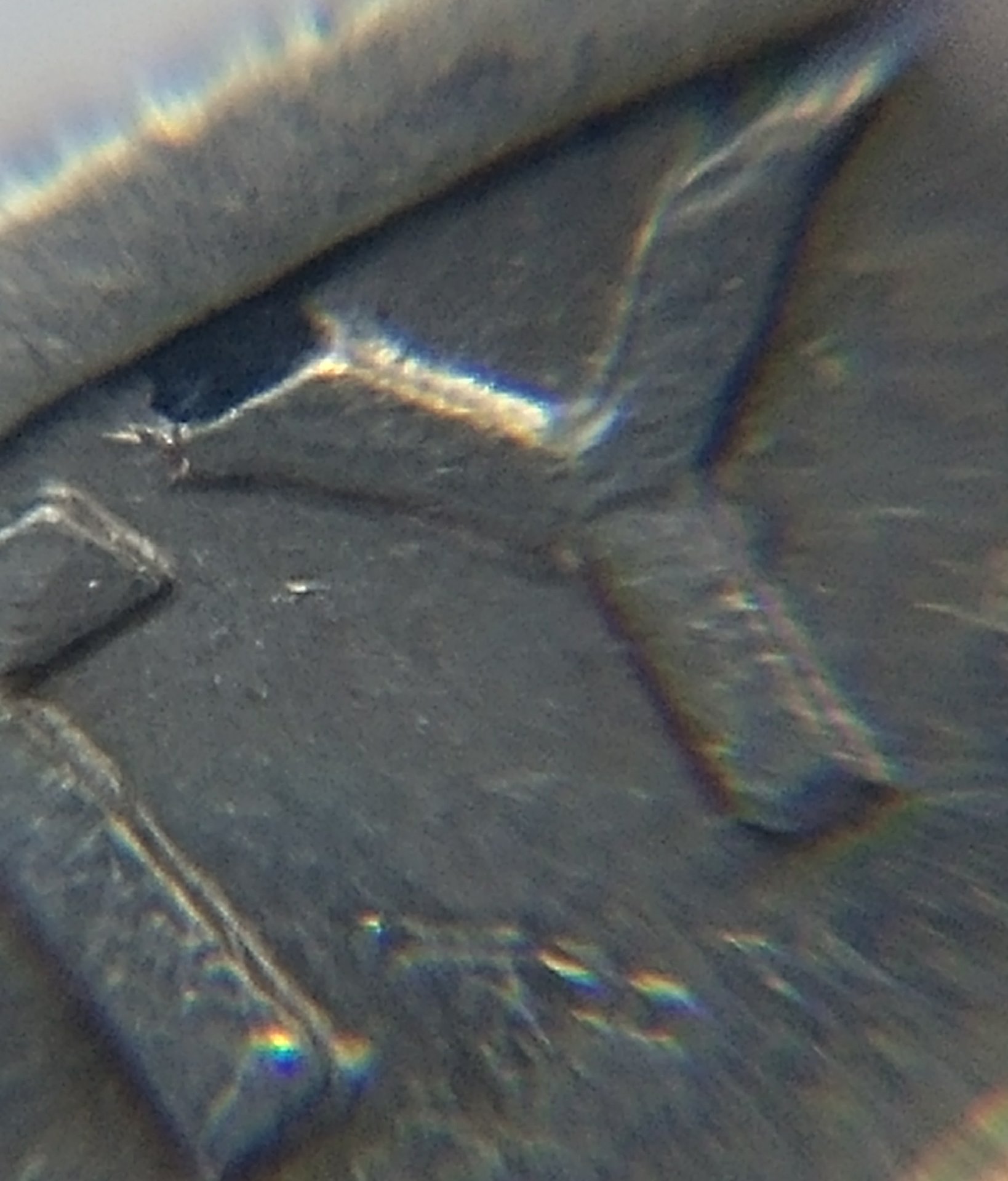 0811171437k_HDR.jpg