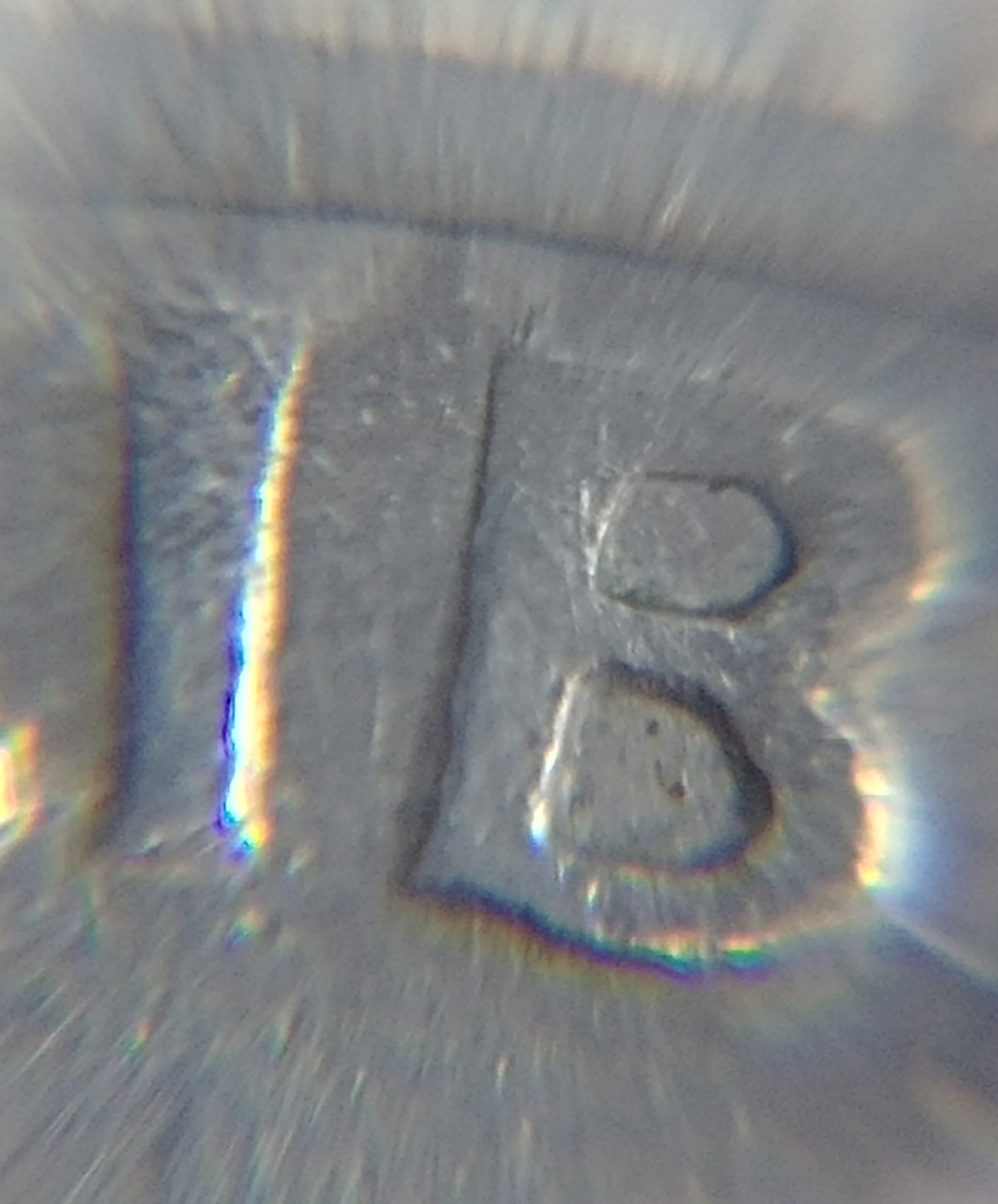 0811171438d_HDR.jpg