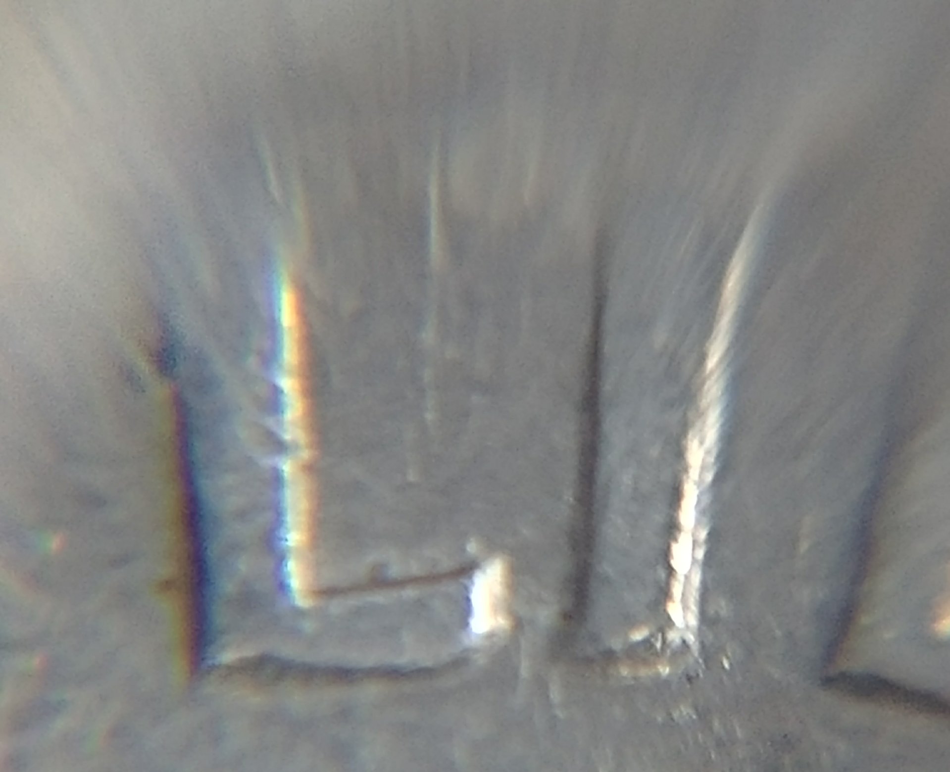 0811171438e_HDR.jpg