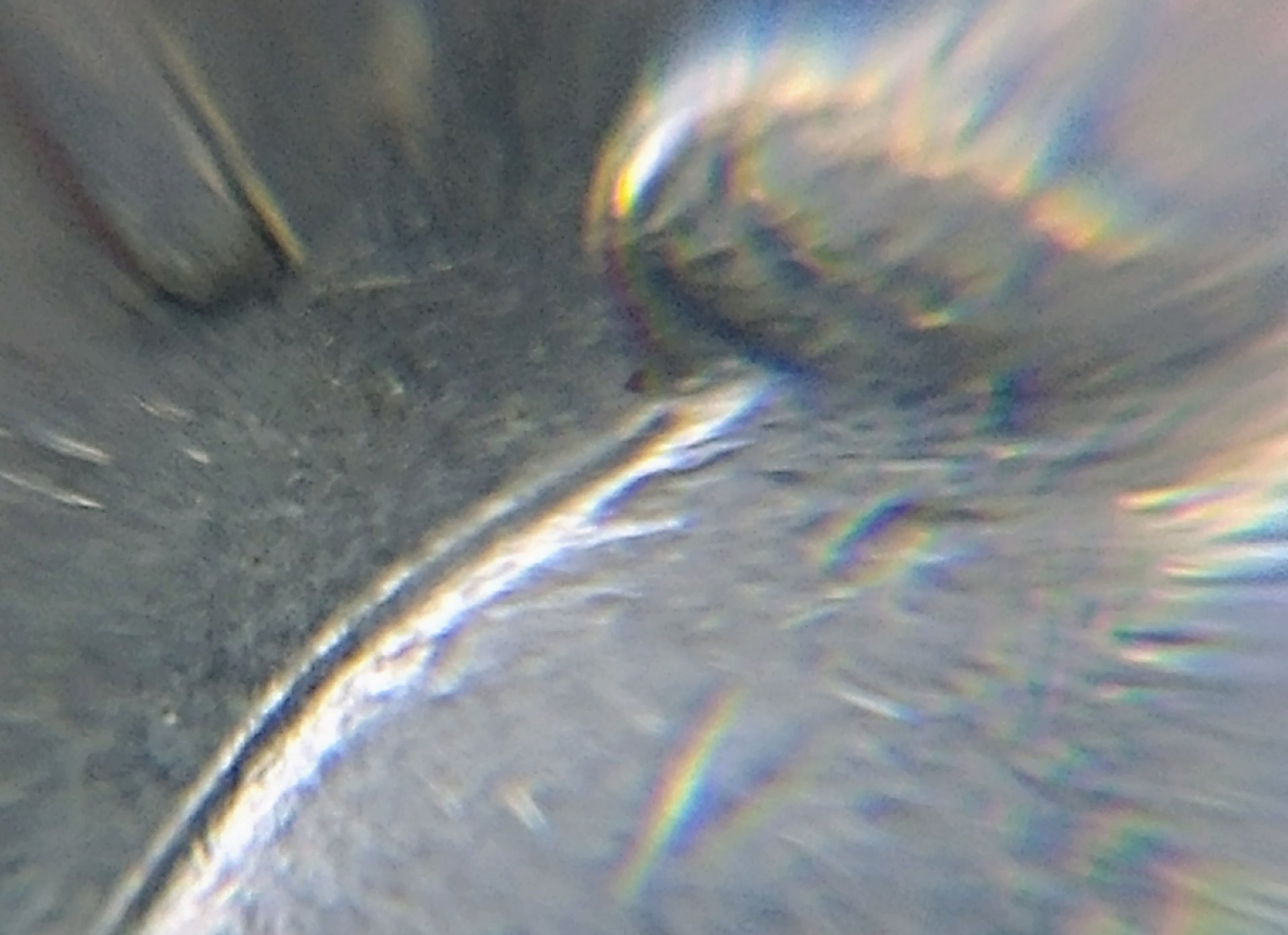 0811171439b_HDR.jpg
