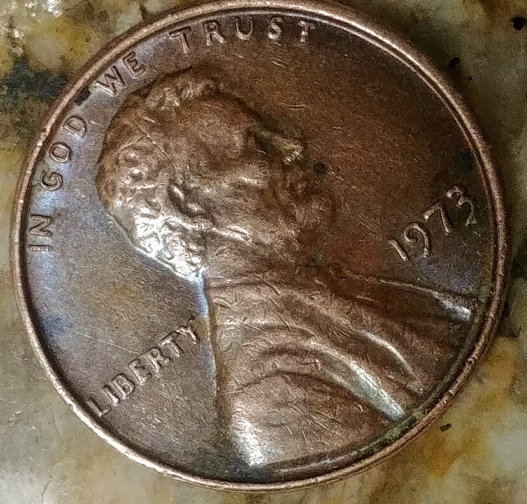 0816180333d~3.jpg