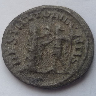 088-01B.jpg