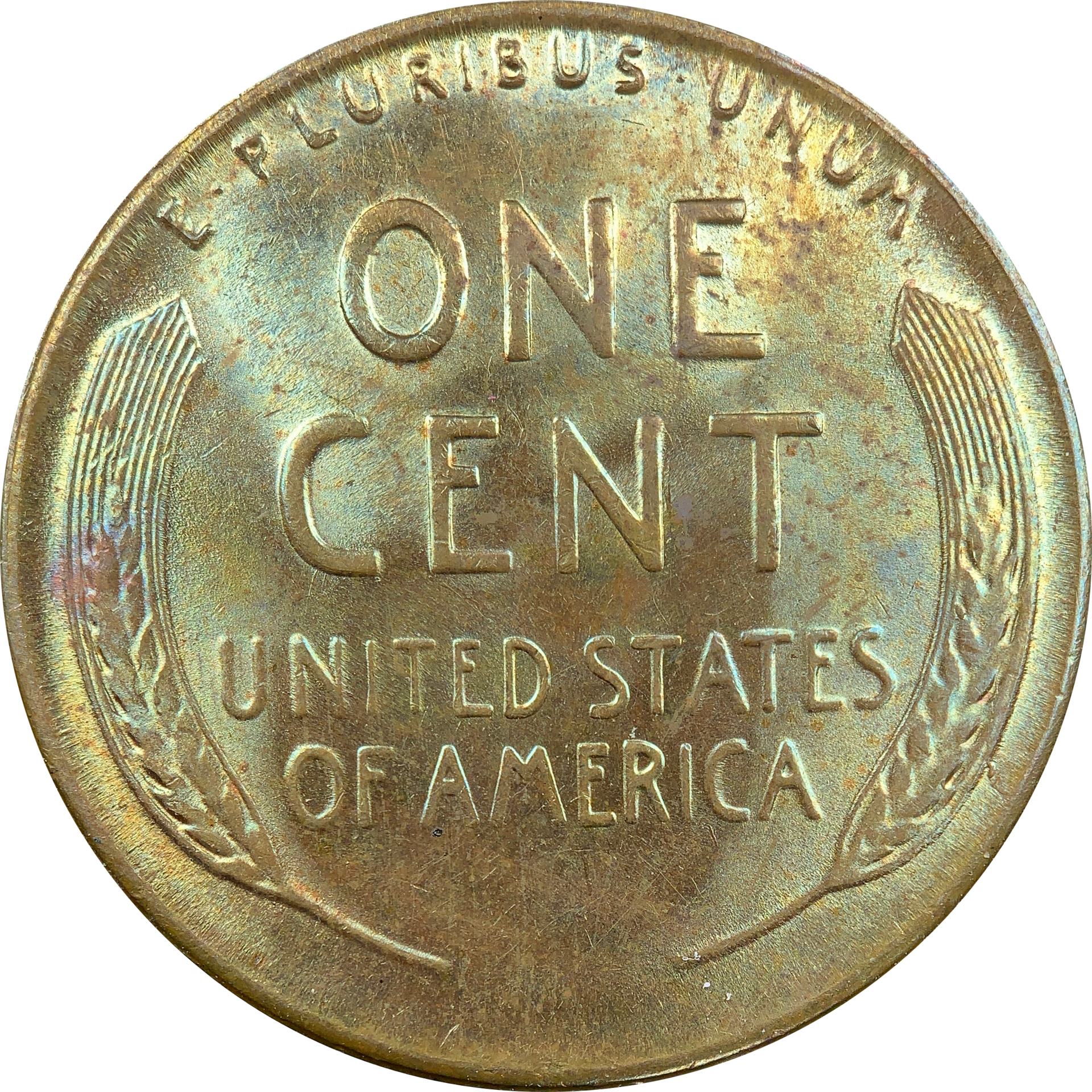088B4172-090C-490D-947E-44AB7DC09B9C.png