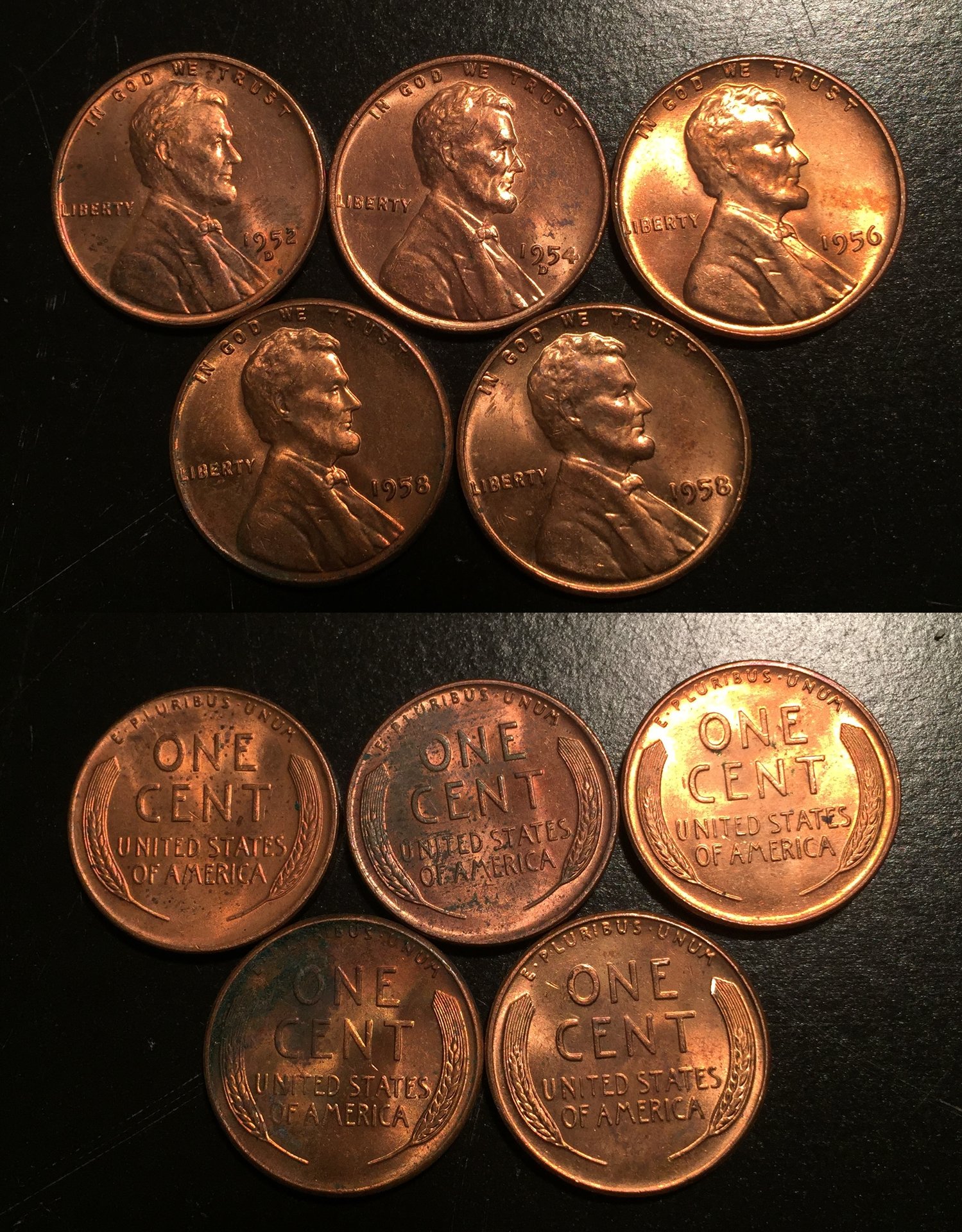 08JAN Cent Red Wheats 4.jpg