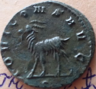 090-01B.jpg