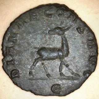 090-10B.jpg
