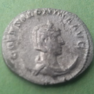 091-03A.jpg
