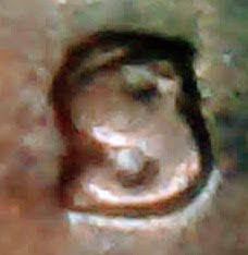 0927-5.jpg