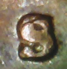 0927-6.jpg