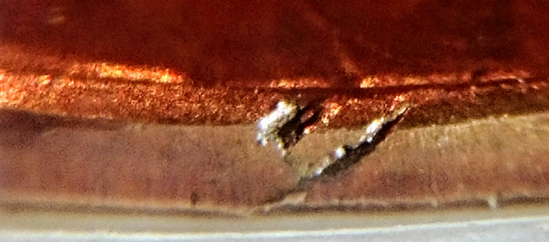 0929180221a~2.jpg