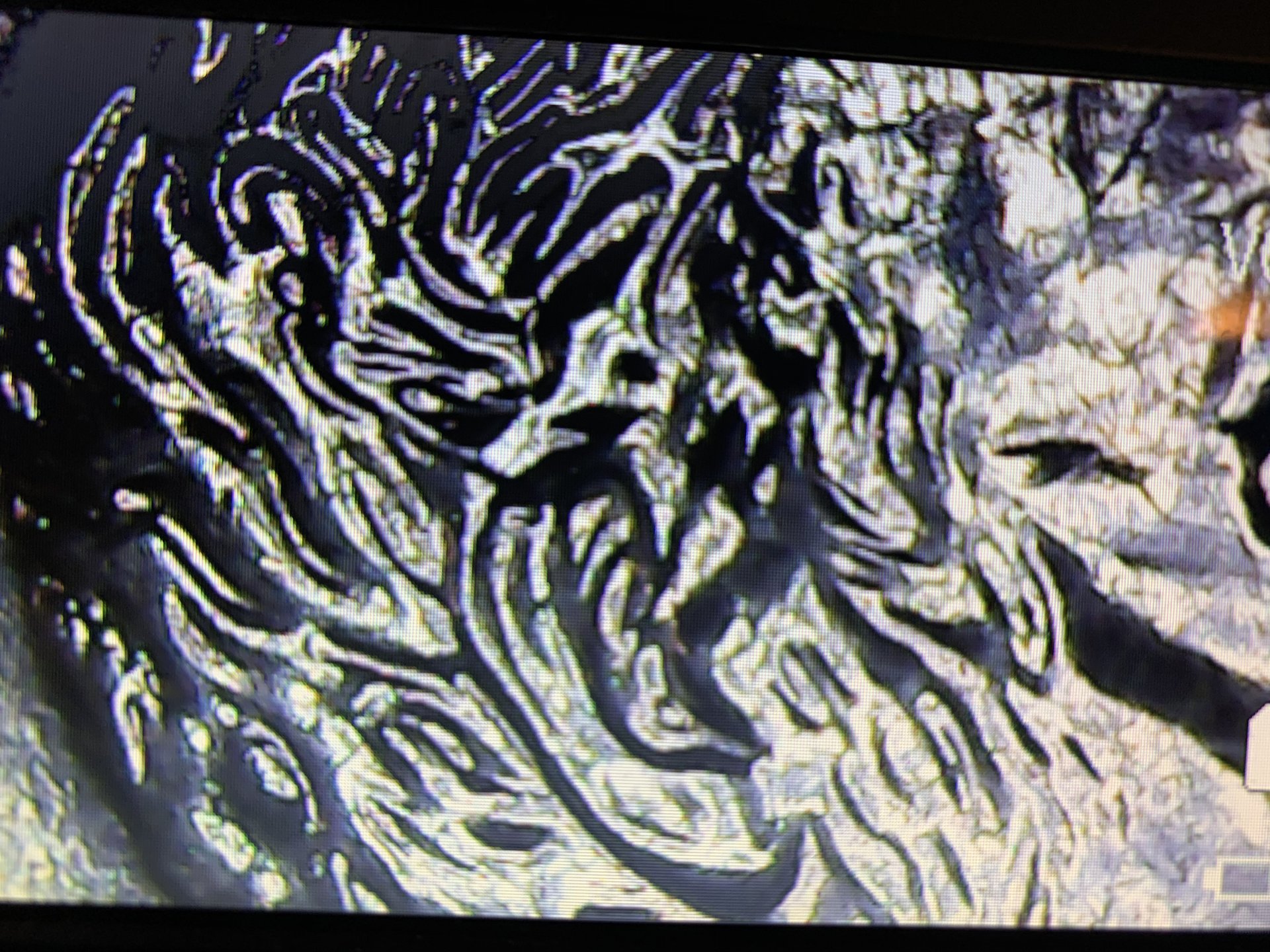 09547AAB-52FE-4ACE-9E14-BA32516C079E.jpeg