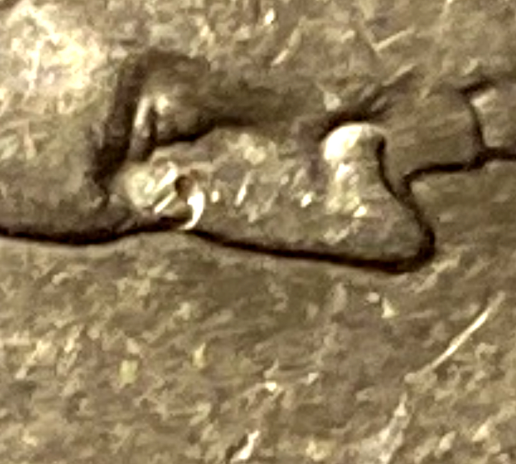 0AAAC501-388B-4EFB-A834-853C8FF0B714.jpeg