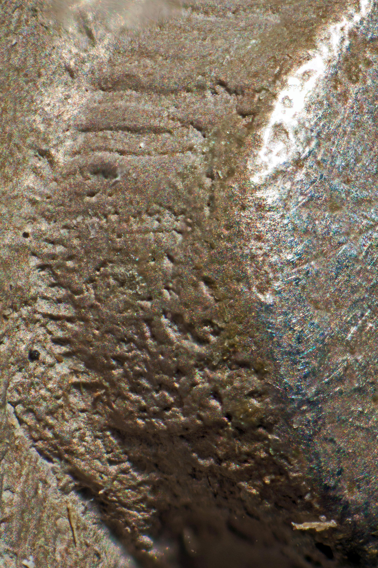 0bb3228microstack12.jpg