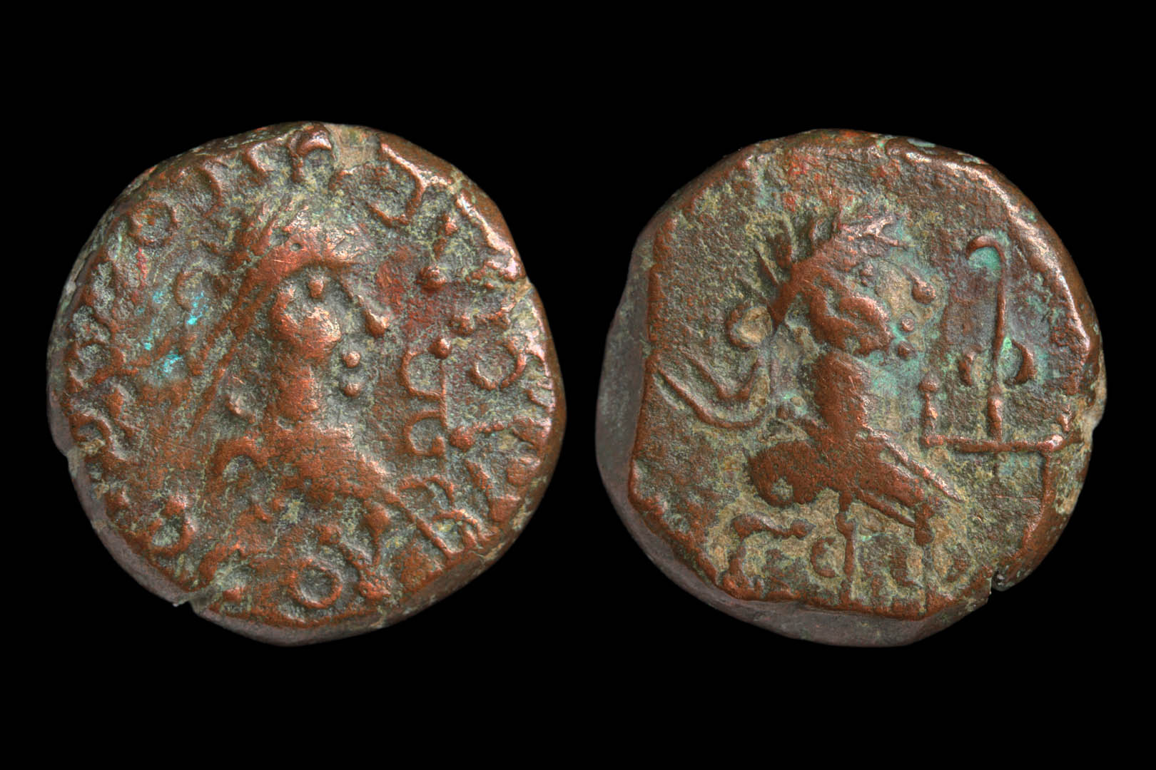 0bos593.jpg
