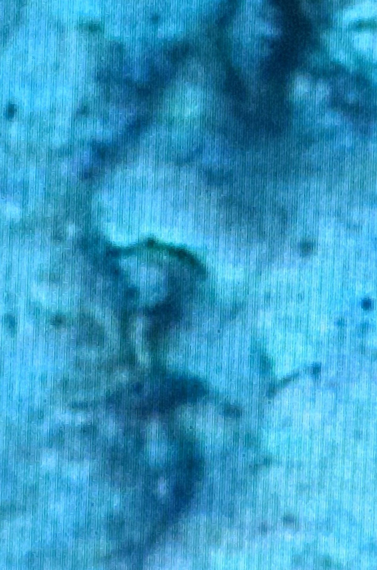 0F2DF79D-AD7D-4EA4-A7A1-32DD0620BB03.jpeg