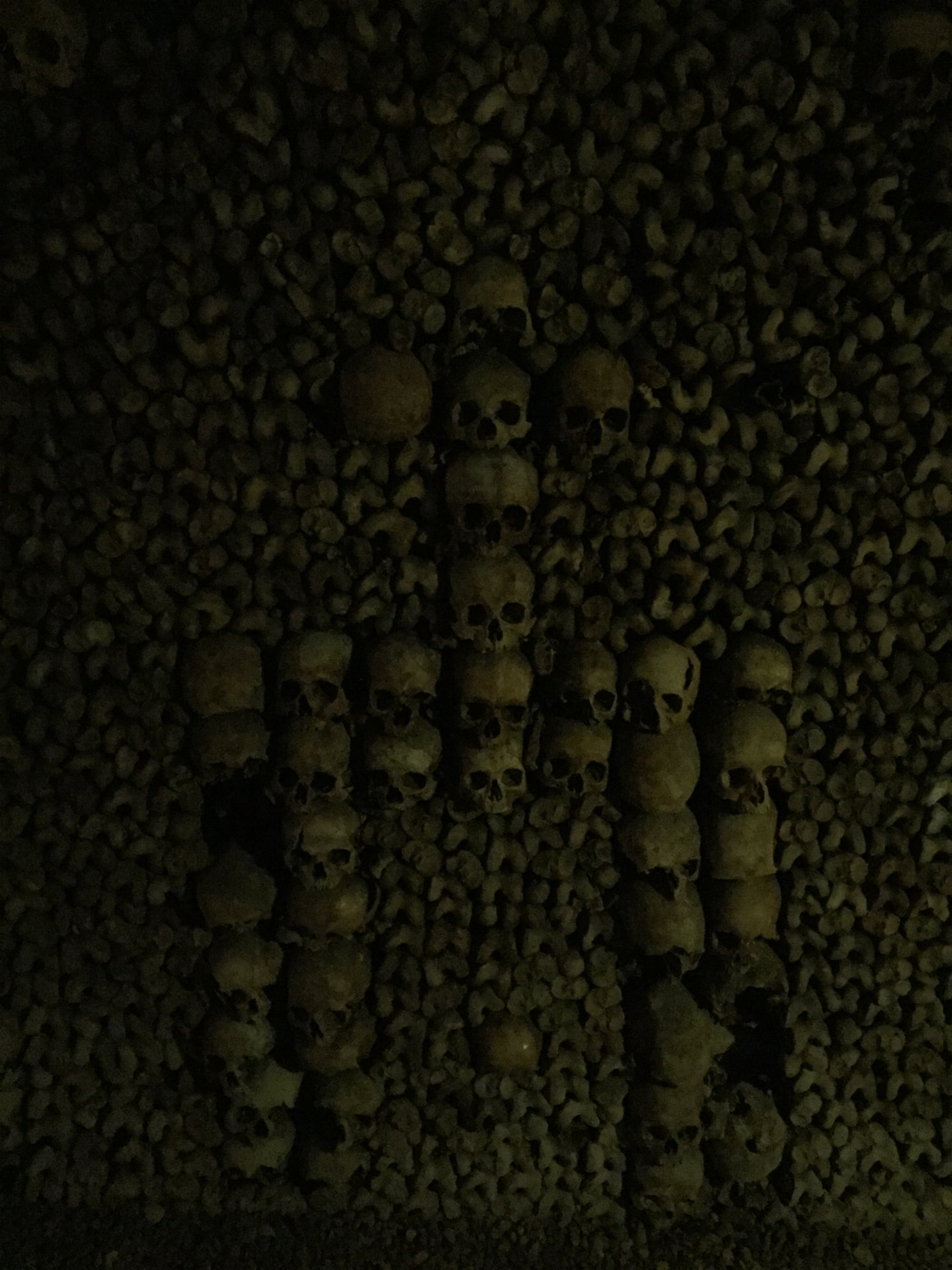 0FED5D09-FDFA-4DCB-8849-0DB667E935D9.jpeg