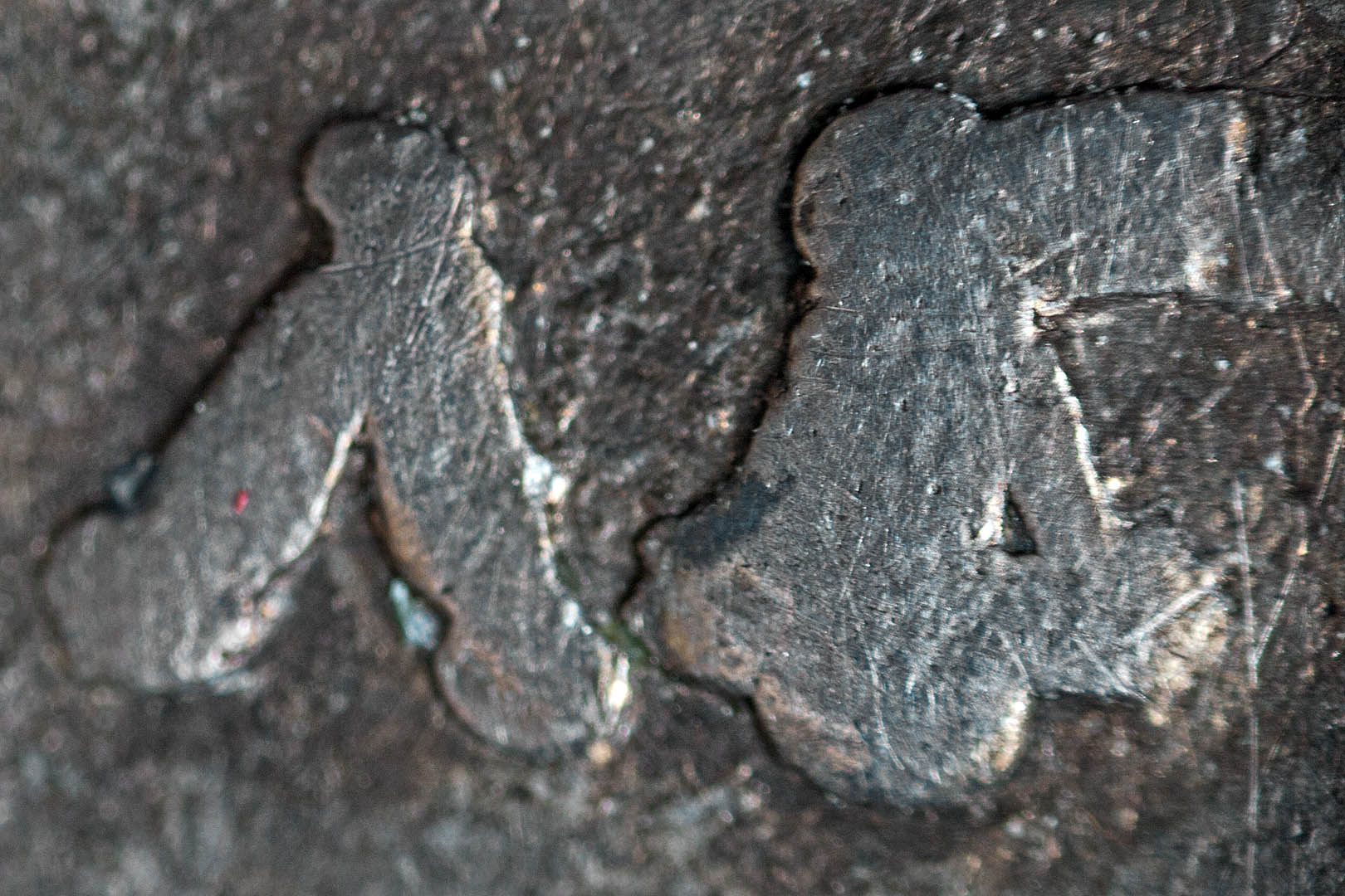 0macro3518.jpg