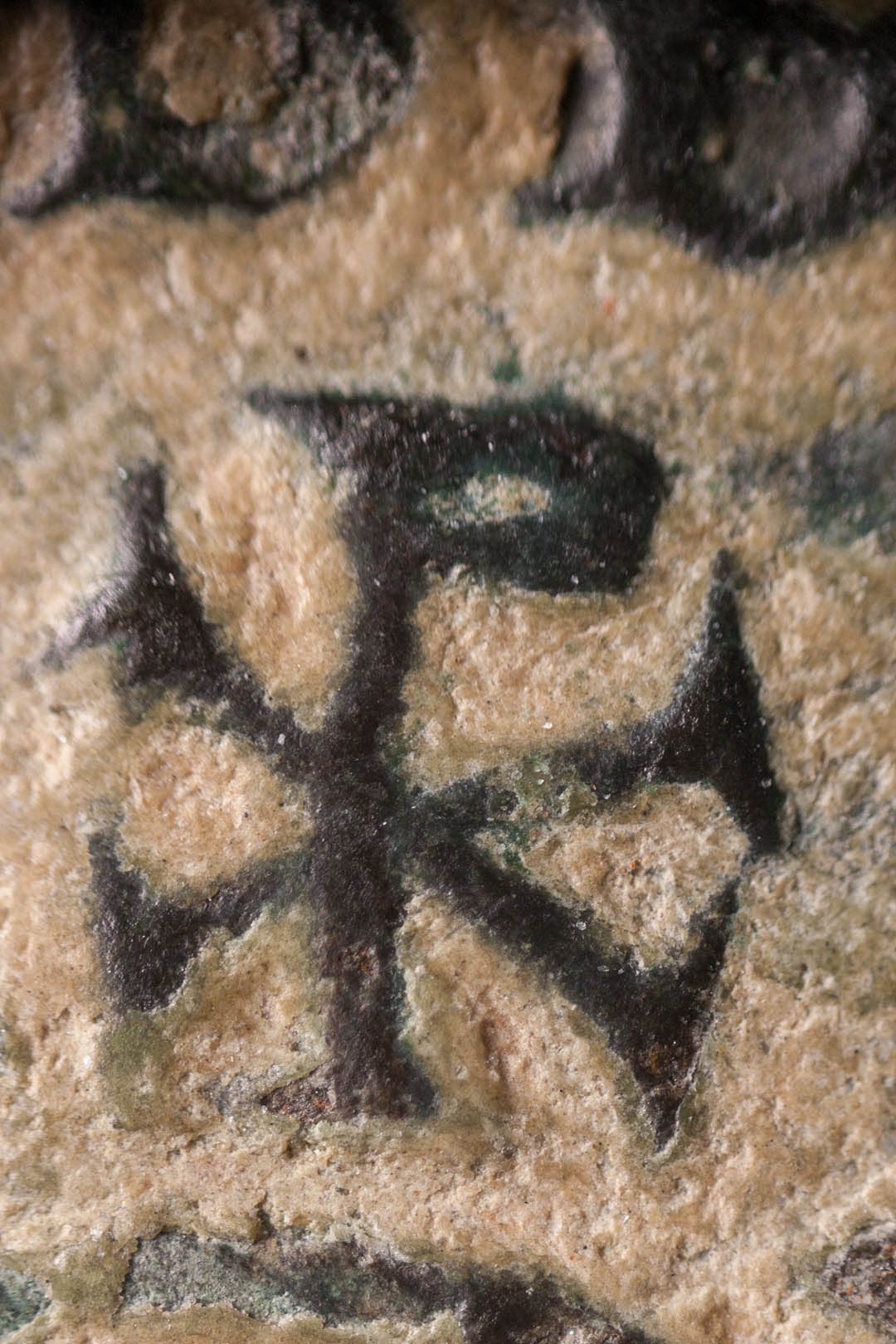 0macro3524.jpg