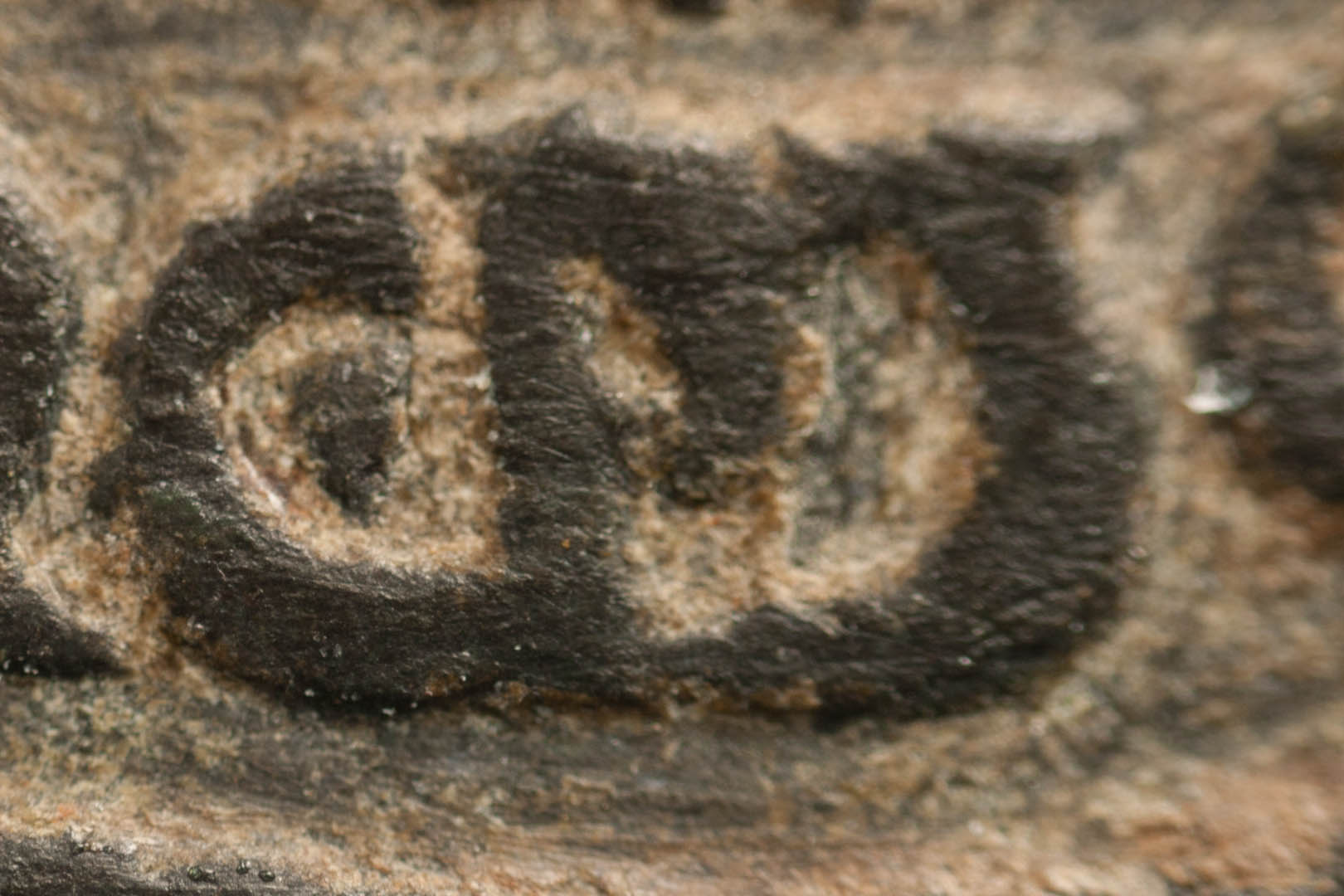 0macro3525.jpg