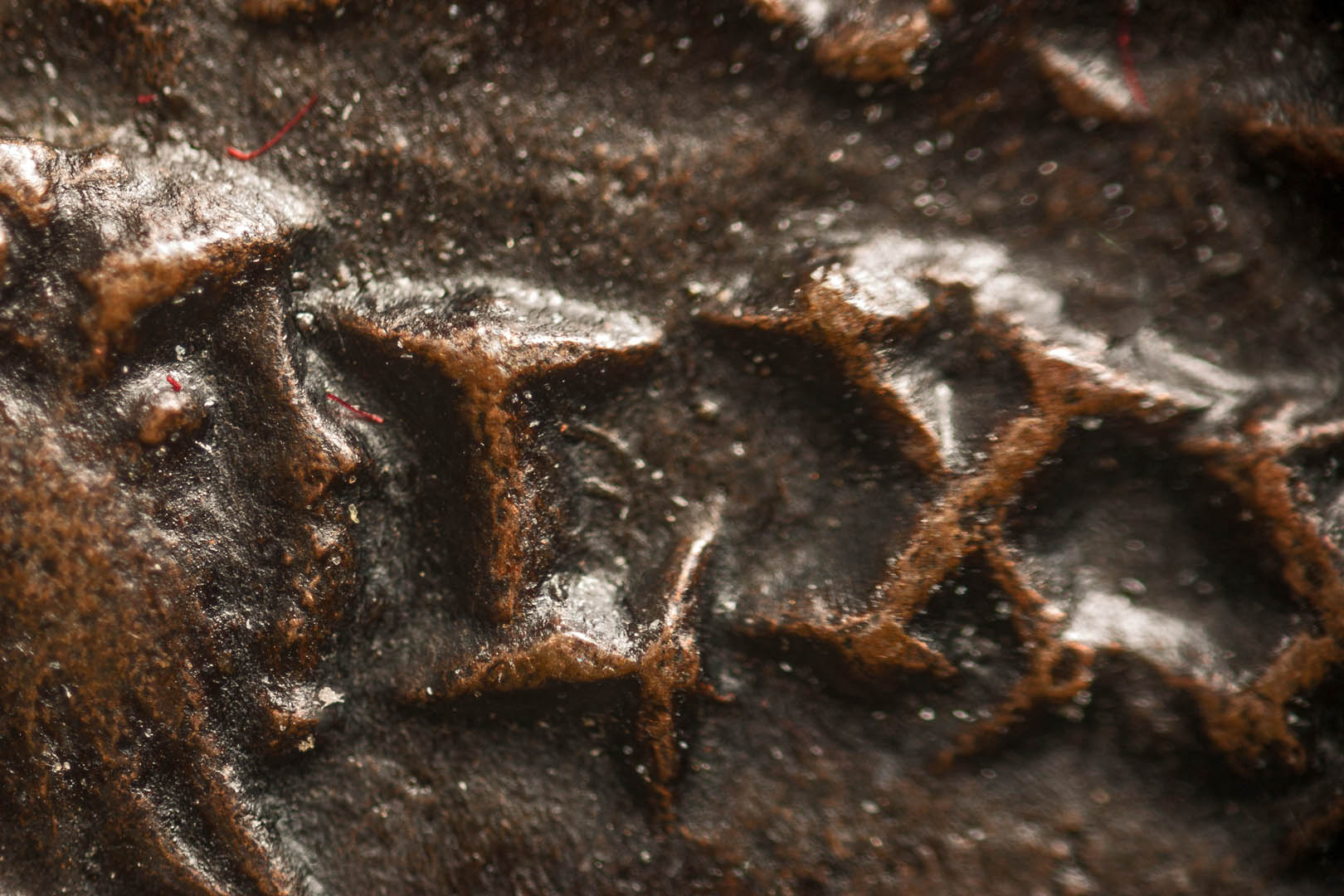 0macro3527.jpg