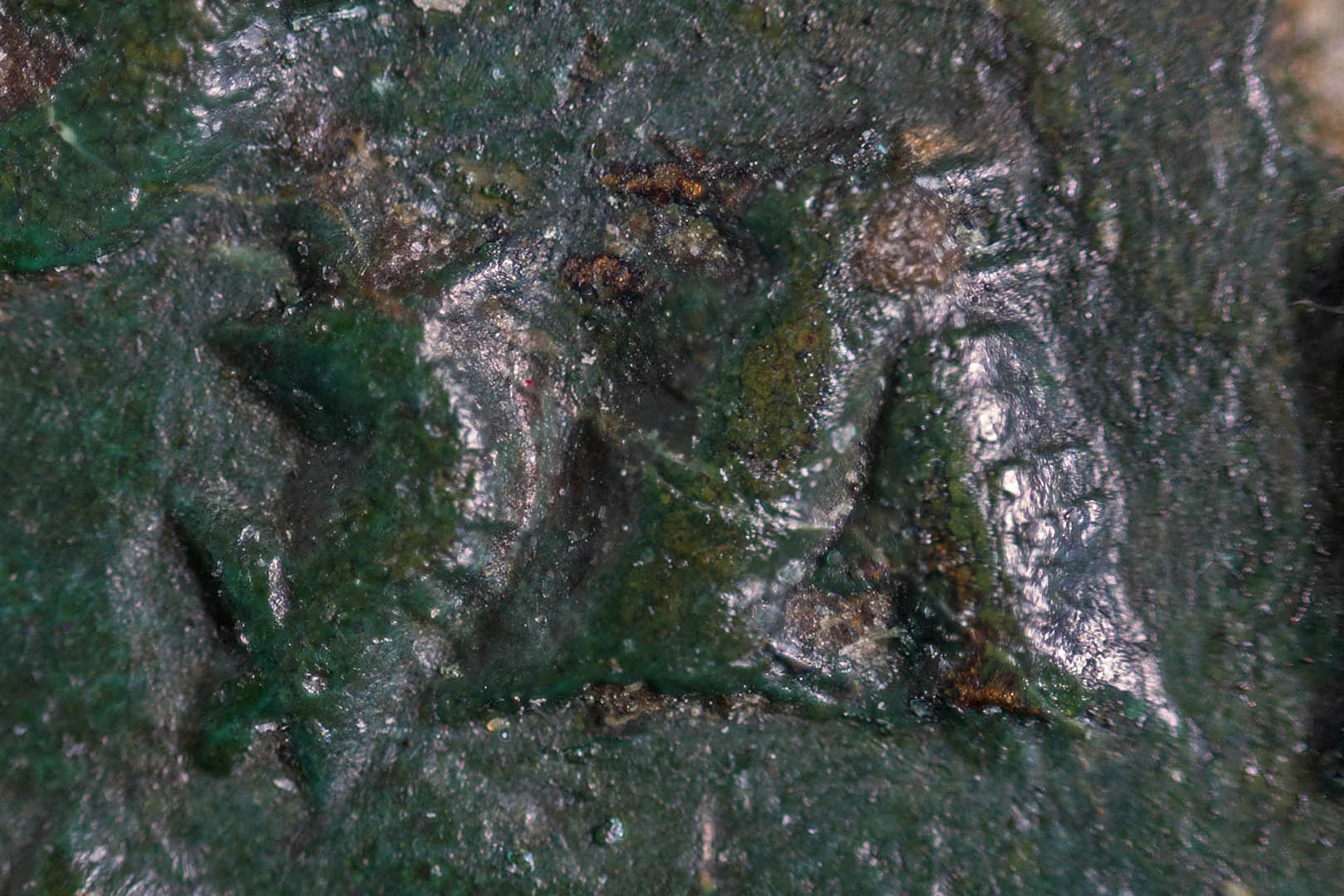 0macroa98.jpg