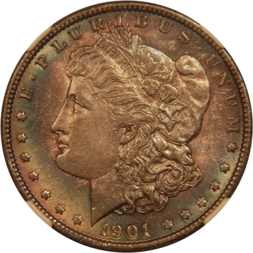 1.00-1901-1_size0[1].jpg