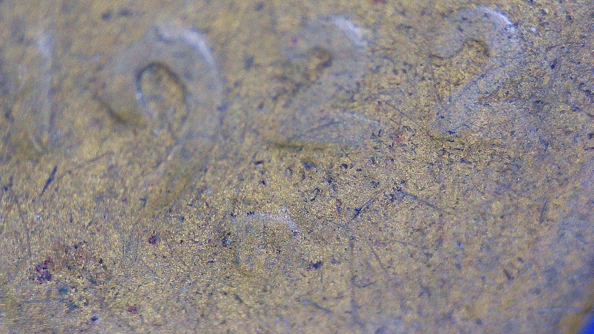 #1 1922 date.jpg