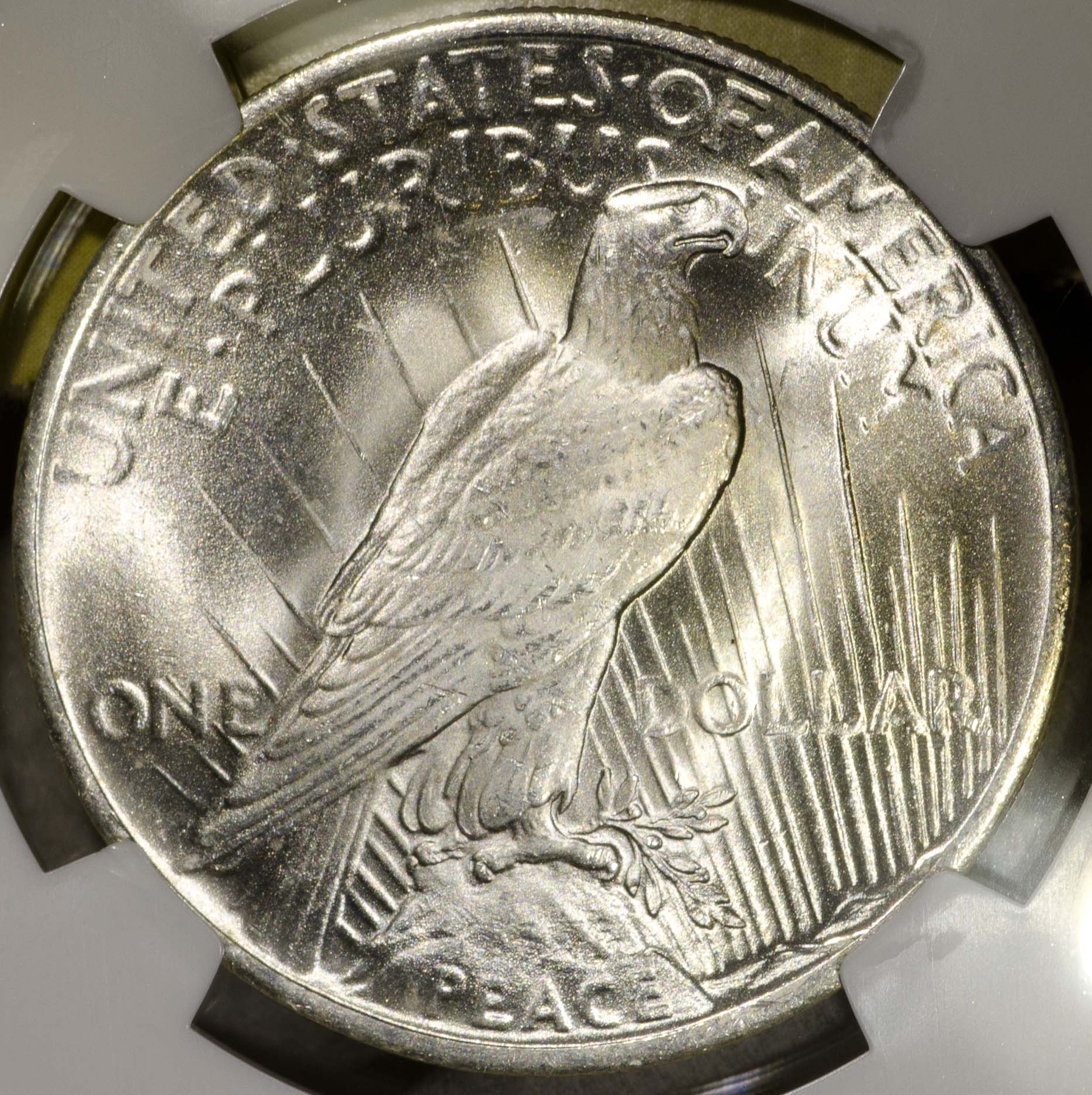 $1 1923 peace reverse large.JPG