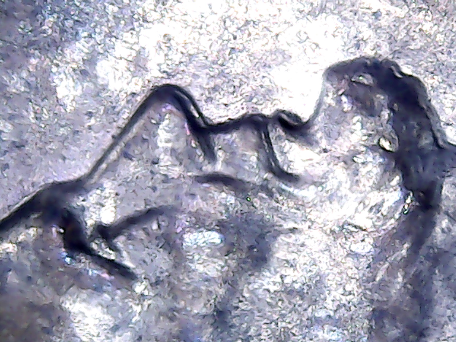 1 1984 lincoln cent 2.jpg