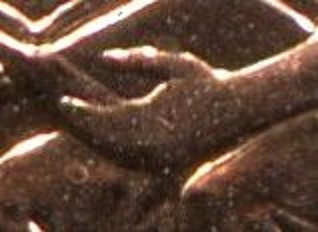 1 2009 P clubbed hand lincoln cent 2.jpg