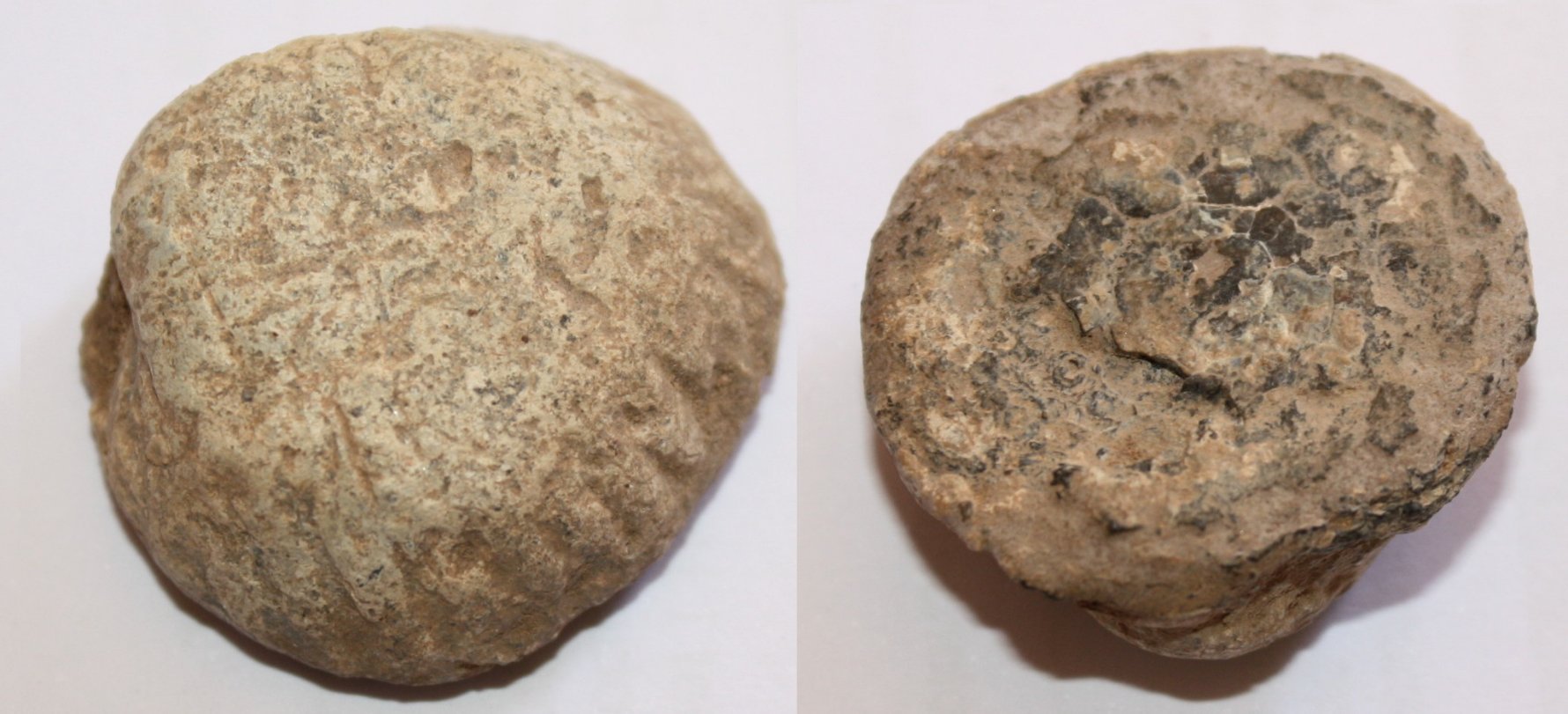 1-20190528_1-shell-weight-ccfopt.jpg
