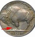 1 3 one half buffalo.jpg