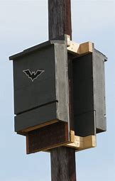 1 bat house.jpg