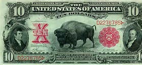 1 bison note.jpg