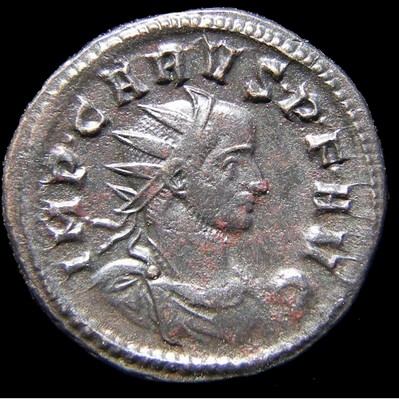 (1) CARUS RIC VII Ticinum 91 (O).jpg