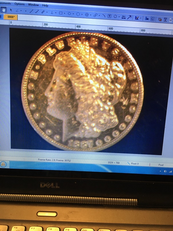 1 dollar coin1.jpg