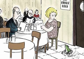 1 frogs.jpg
