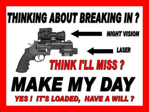 1 gun.jpg