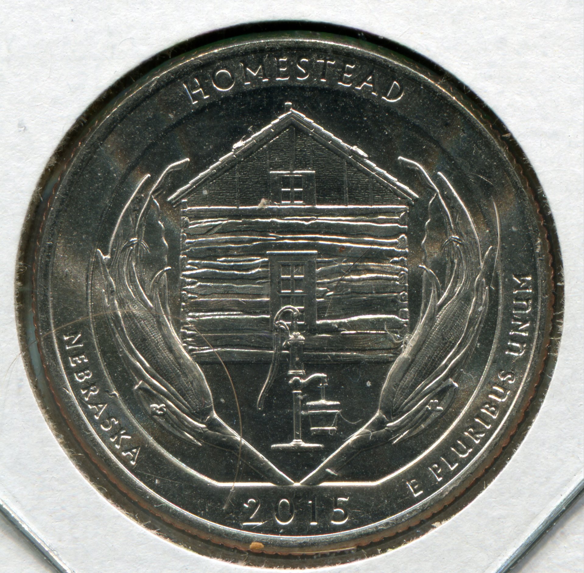 1 homestead quarter.jpg