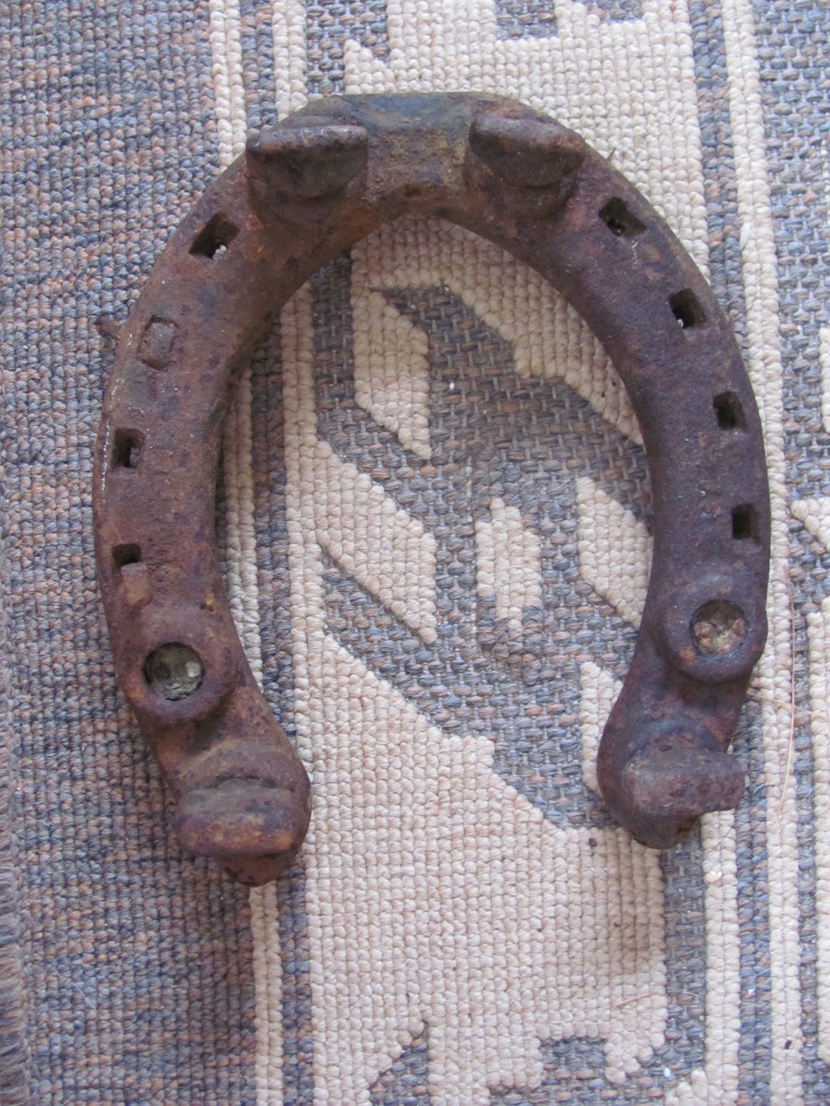 1 horse shoe 3.JPG