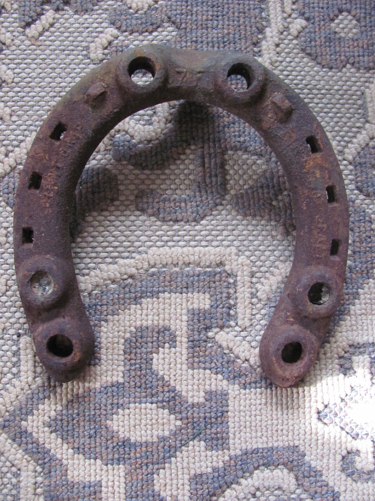 1 horse shoe 5.JPG
