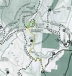 1 mt greylock 3.jpg